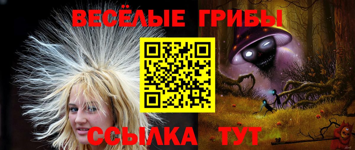 Галлюциногенные грибы ЛСД  Вход с VPN  Холмск 